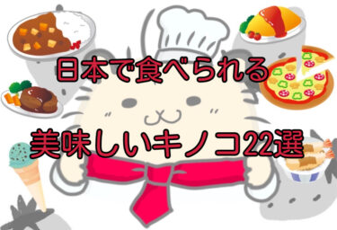 【高級＆激レア】日本で食べられる美味しいキノコ22選！いろいろなキノコを味わおう